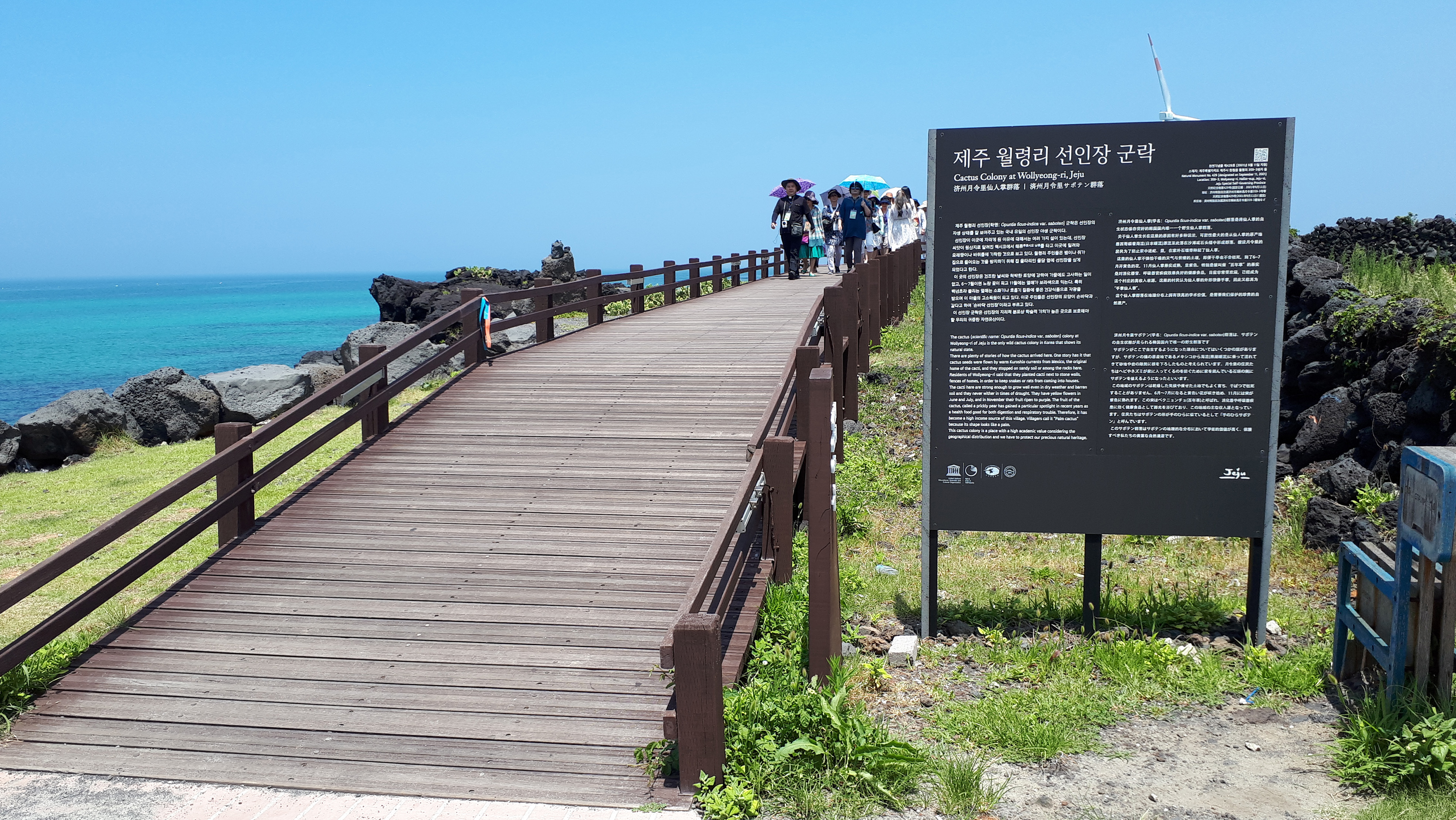 20180718_122237.jpg