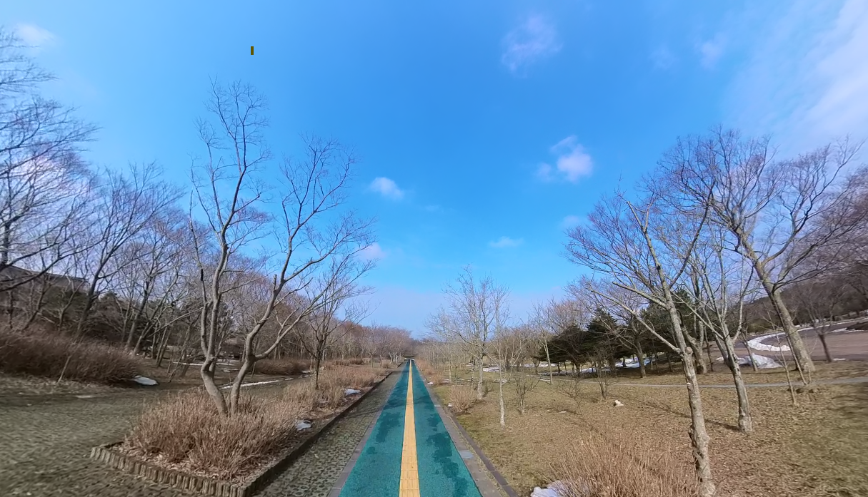 목련총림.png