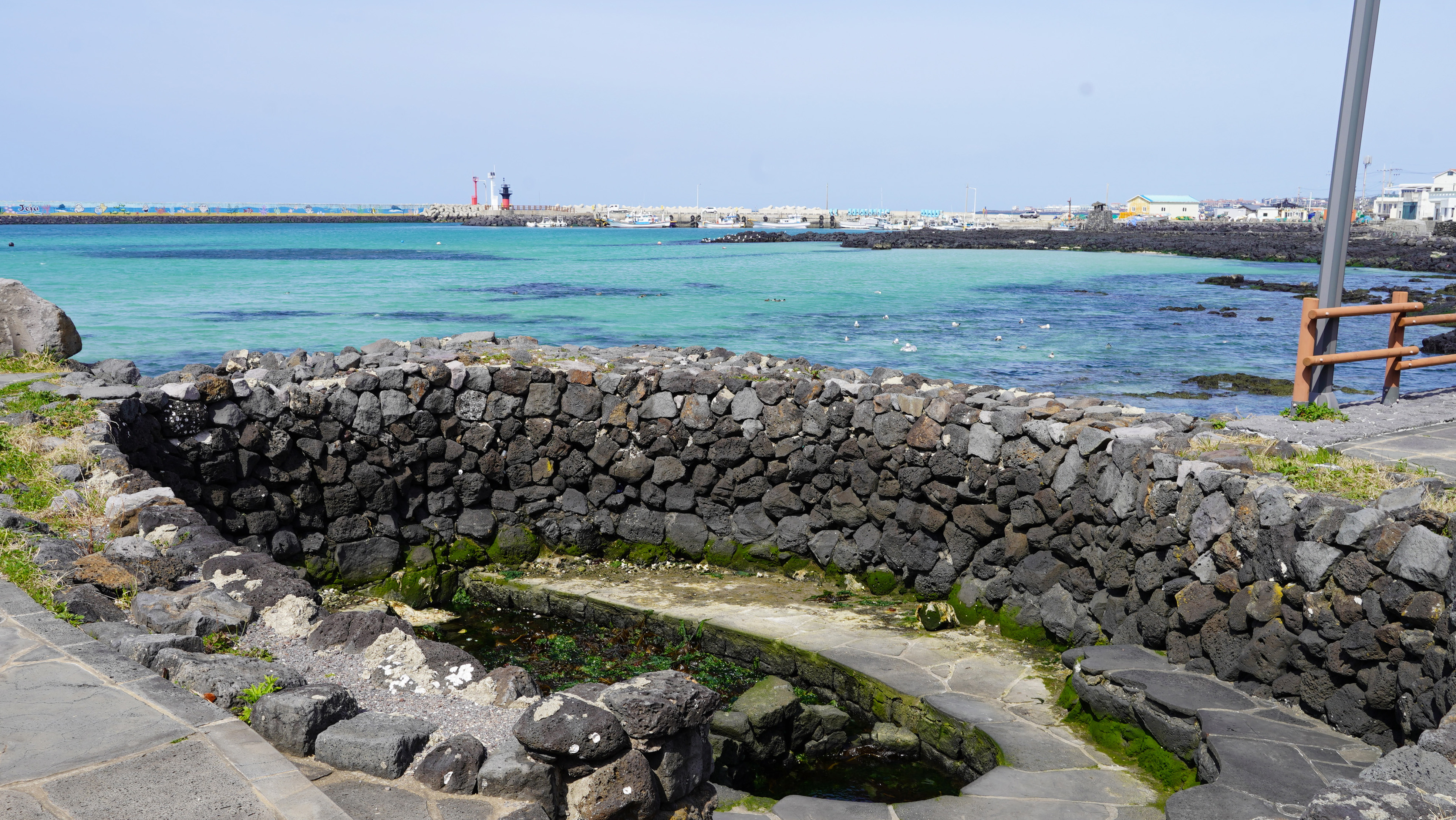 DSC05905.JPG