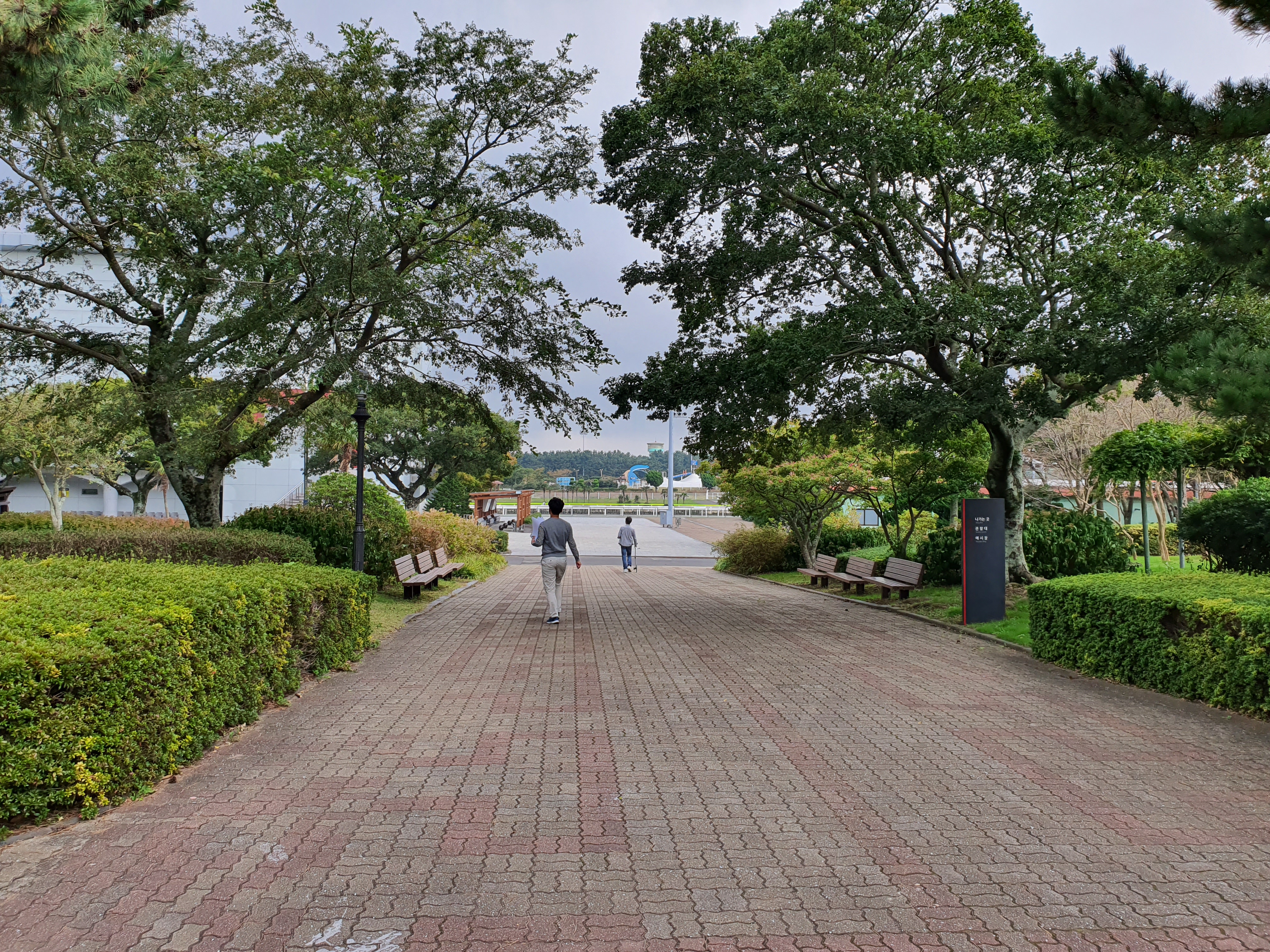 20191017_141212.jpg
