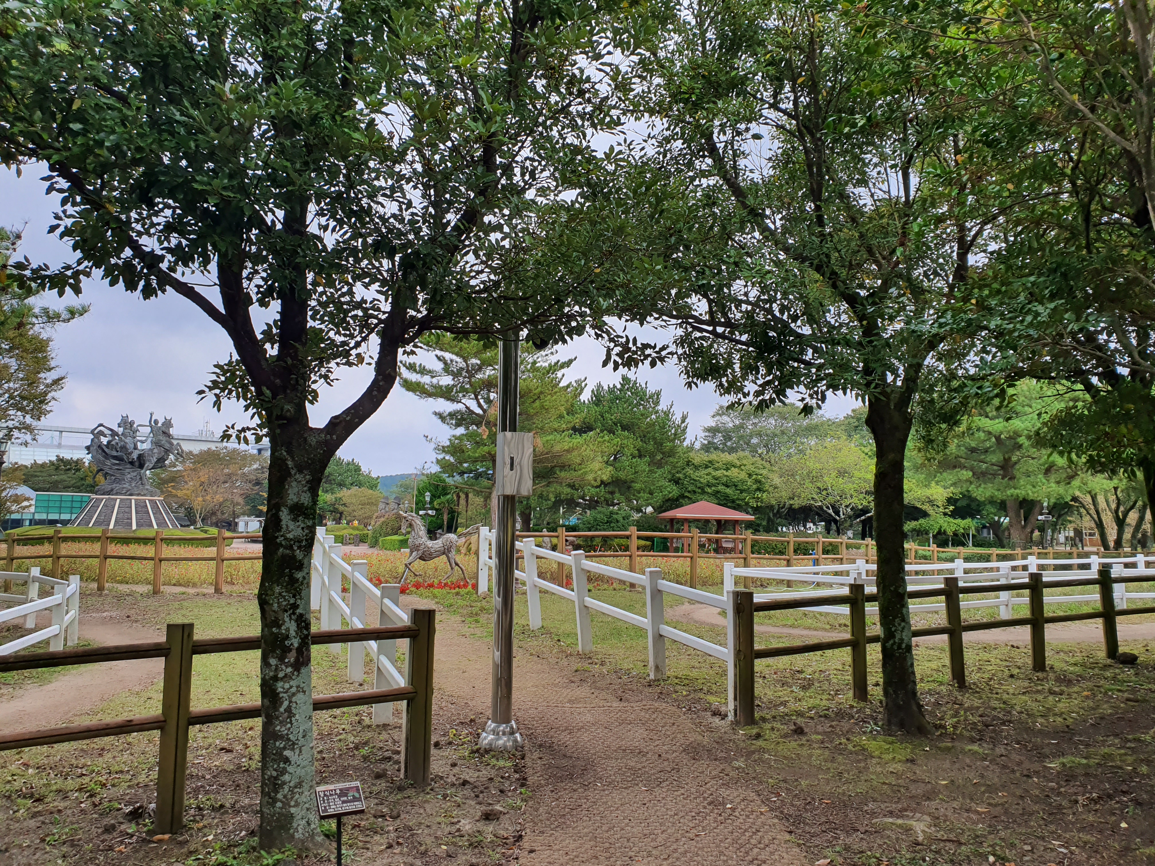 20191017_154819.jpg
