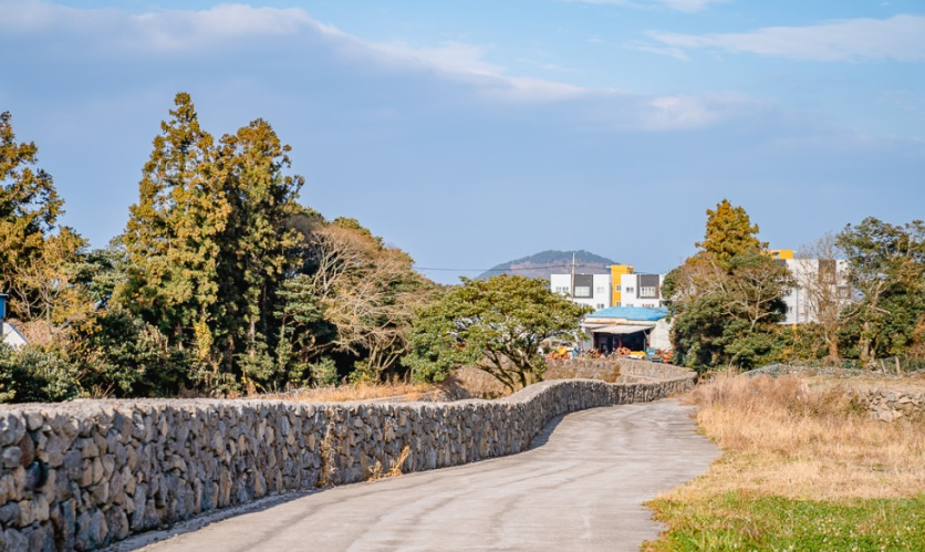 송당 당오름 산책길 과수원길